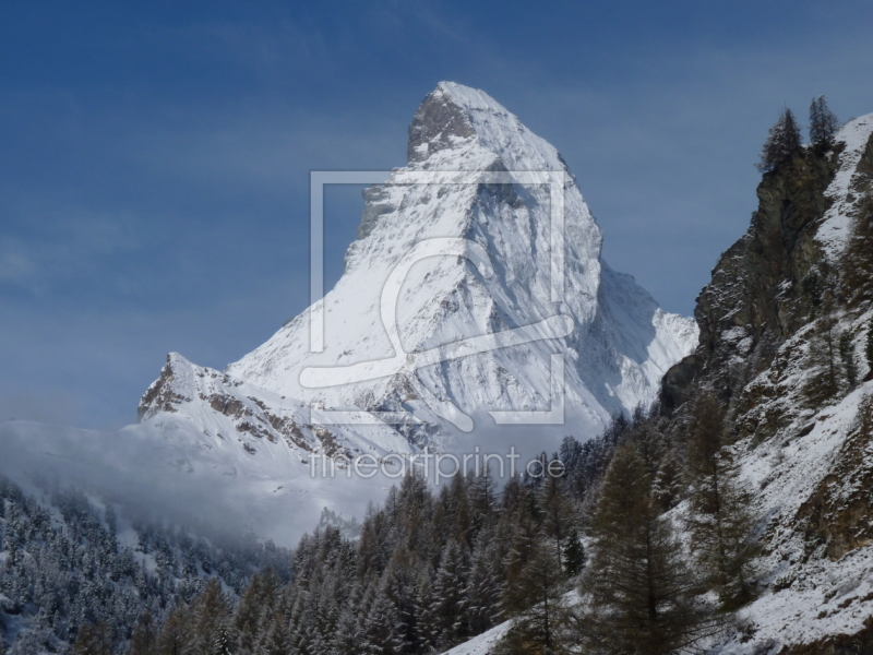 frei wählbarer Bildausschnitt für Ihr Bild auf Leinwand