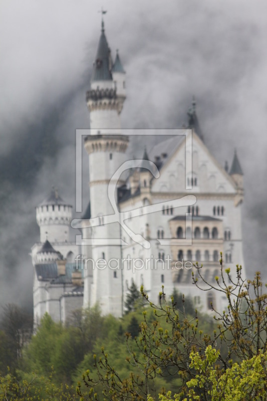 frei wählbarer Bildausschnitt für Ihr Bild auf Leinwand