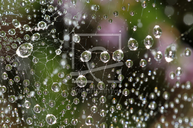 frei wählbarer Bildausschnitt für Ihr Bild auf Leinwand