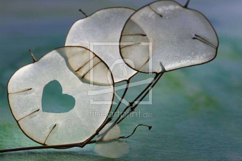 frei wählbarer Bildausschnitt für Ihr Bild auf Leinwand