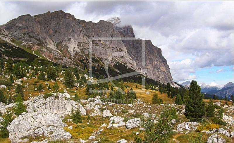 frei wählbarer Bildausschnitt für Ihr Bild auf Leinwand