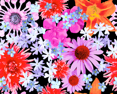 Bild-Nr: 9002742 Sommerblumen Erstellt von: patterndesigns-com