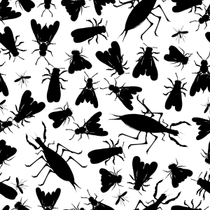 Bild-Nr: 9003390 Edgar Allans Insekten Sammlung Erstellt von: patterndesigns-com