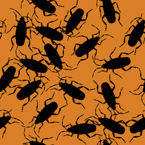 Bild-Nr: 9005992 Die Kakerlaken Gefahr Erstellt von: patterndesigns-com