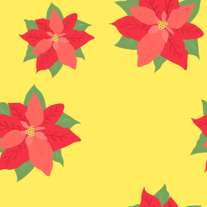 Bild-Nr: 9007522 Weihnachtsstern In Blüte Erstellt von: patterndesigns-com