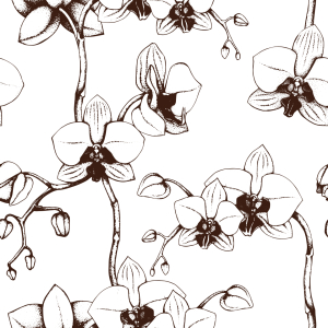 Bild-Nr: 9007572 Orchideen Blüte Erstellt von: patterndesigns-com