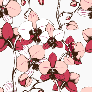 Bild-Nr: 9007625 Exotische Orchidee Erstellt von: patterndesigns-com