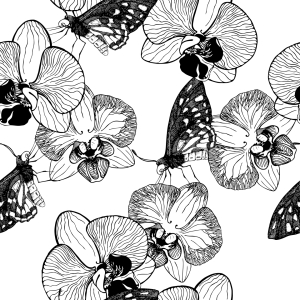 Bild-Nr: 9007671 Orchidee und Schmetterling Erstellt von: patterndesigns-com