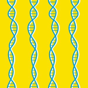 Bild-Nr: 9007797 DNA Doppelhelix Erstellt von: patterndesigns-com