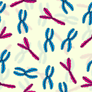 Bild-Nr: 9009135 X Y Chromosom Erstellt von: patterndesigns-com