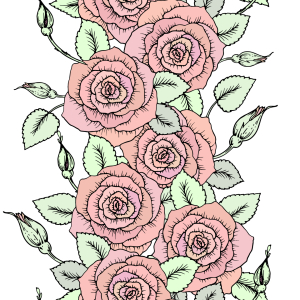 Bild-Nr: 9013890 Niedliche Bordüren Aus Rosen Erstellt von: patterndesigns-com