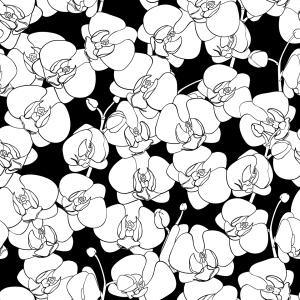 Bild-Nr: 9014408 Orchideen Tanz Erstellt von: patterndesigns-com