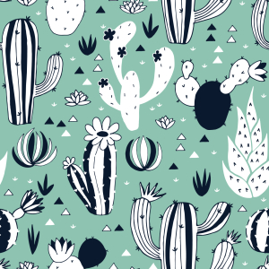 Bild-Nr: 9014853 Kaktusgarten Erstellt von: patterndesigns-com