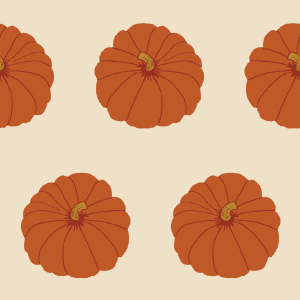 Bild-Nr: 9024914 Zierkürbis Orange Erstellt von: patterndesigns-com