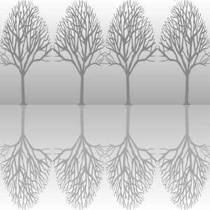 Bild-Nr: 9025417 Baumallee Grau Erstellt von: patterndesigns-com
