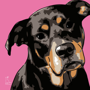 Bild-Nr: 9246833 Rottweiler [Pfotenstore] Erstellt von: lixxconsult