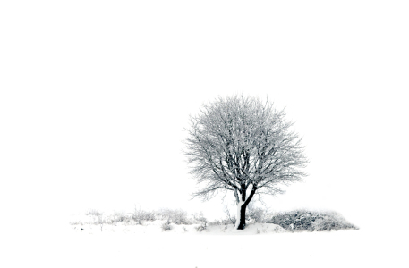 Bild-Nr: 9256875 Winterlandschaft Erstellt von: Wachtelstein