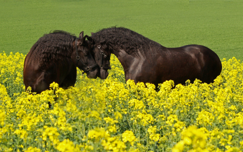 Bild-Nr: 9279883 just love Erstellt von: faralda