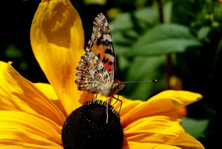 Bild-Nr: 9318978 What a feeling......... Erstellt von: youhaveadream