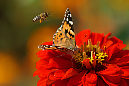 Bild-Nr: 9336048 Follow me...... Erstellt von: youhaveadream