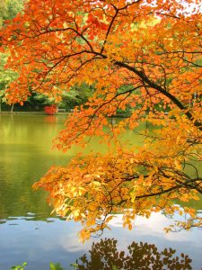 Bild-Nr: 9336696 Schöne Herbstzeit Erstellt von: ichbinina