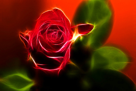 Bild-Nr: 9350206 Rose of Light Erstellt von: Klaus Weinzettel