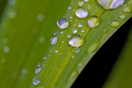 Bild-Nr: 9369184 Wassertropfen auf Blatt Erstellt von: frankv