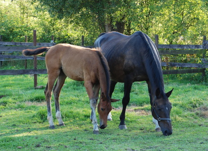 Bild-Nr: 9379380 Mutter und Tochter Erstellt von: Heide Wilhelm