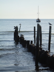 Bild-Nr: 9382816 Strandansicht 2 Erstellt von: TBBerlin