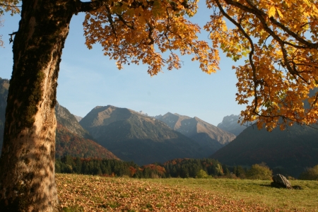 Bild-Nr: 9387418 Oktoberlandschaft bei Oberstdorf Erstellt von: widipic
