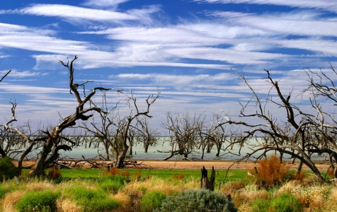 Bild-Nr: 9389778 Menindee Lakes Erstellt von: MisterMister