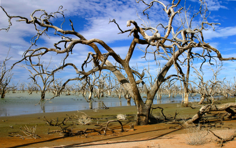 Bild-Nr: 9389784 Menindee Lakes 2 Erstellt von: MisterMister