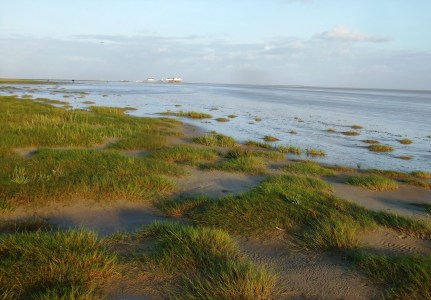 Bild-Nr: 9399574 Nordseefieber Erstellt von: Charabia