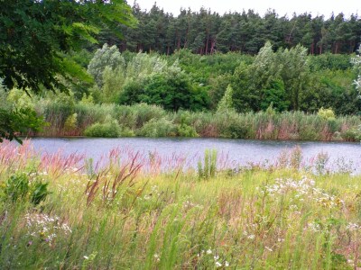 Bild-Nr: 9405678 Sommer am See Erstellt von: Renate Knapp