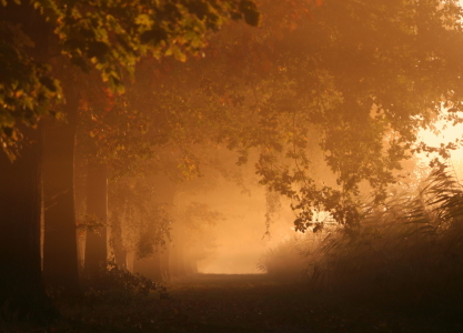 Bild-Nr: 9406674 Herbst Erstellt von: Jana Behr