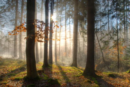 Bild-Nr: 9410988 Die Strahlen der Sonne Erstellt von: PeterTost