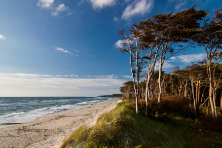 Bild-Nr: 9412124 Am Weststrand Erstellt von: Thomas-Mertens