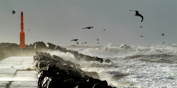 Bild-Nr: 9412508 Hvide Sande Erstellt von: Digo