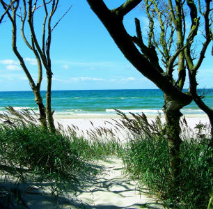 Bild-Nr: 9412988 Ostsee-Strand-Prerow I Erstellt von: Eliqua