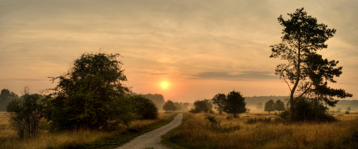 Bild-Nr: 9416166 Weg zur Sonne Erstellt von: PeterTost