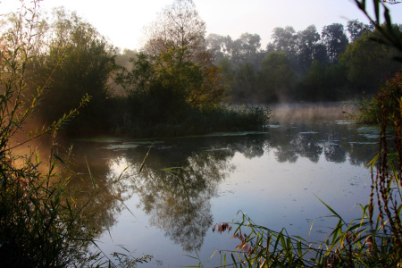 Bild-Nr: 9418640 Morgens am Fluss Erstellt von: Stephanie Stephanie Dannecker