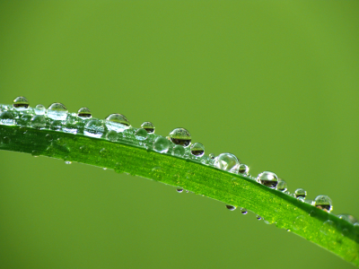 Bild-Nr: 9424964 Regenperlen Erstellt von: gabii40