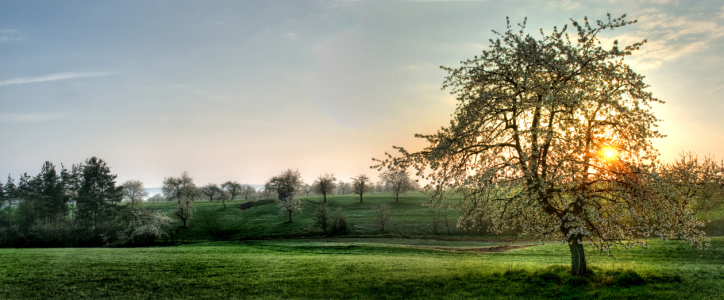 Bild-Nr: 9425376 Golden Sonne Erstellt von: PeterTost