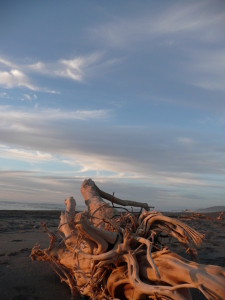 Bild-Nr: 9432758 Am Strand Erstellt von: csausbs