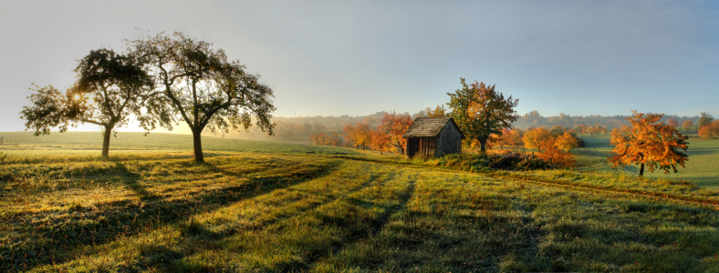 Bild-Nr: 9436466 Herbstbunt Erstellt von: PeterTost