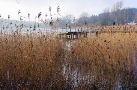 Bild-Nr: 9439168 Herbsttag am See Erstellt von: Renate Knapp