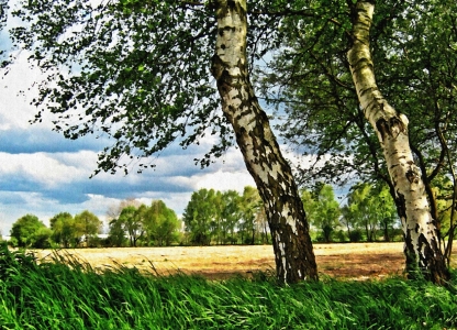 Bild-Nr: 9439750 Frühlingswind Erstellt von: gabii40