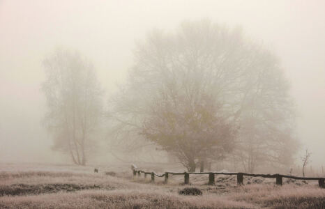 Bild-Nr: 9466174 Nebel Erstellt von: Klaus Kehrls