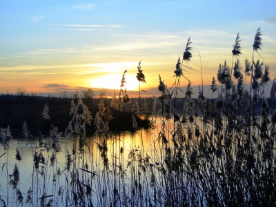 Bild-Nr: 9483690 Der See in einem weichen Licht Erstellt von: Renate Knapp