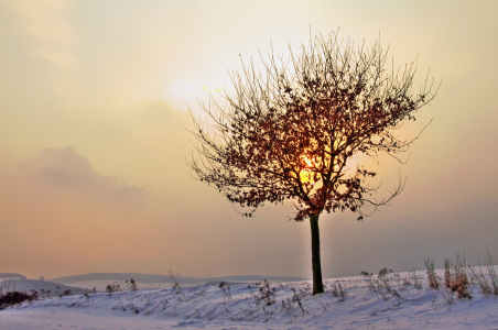 Bild-Nr: 9486838 Winterabend Erstellt von: Daniela Beyer